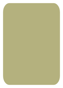 Alvic Zenit Verde Matcha